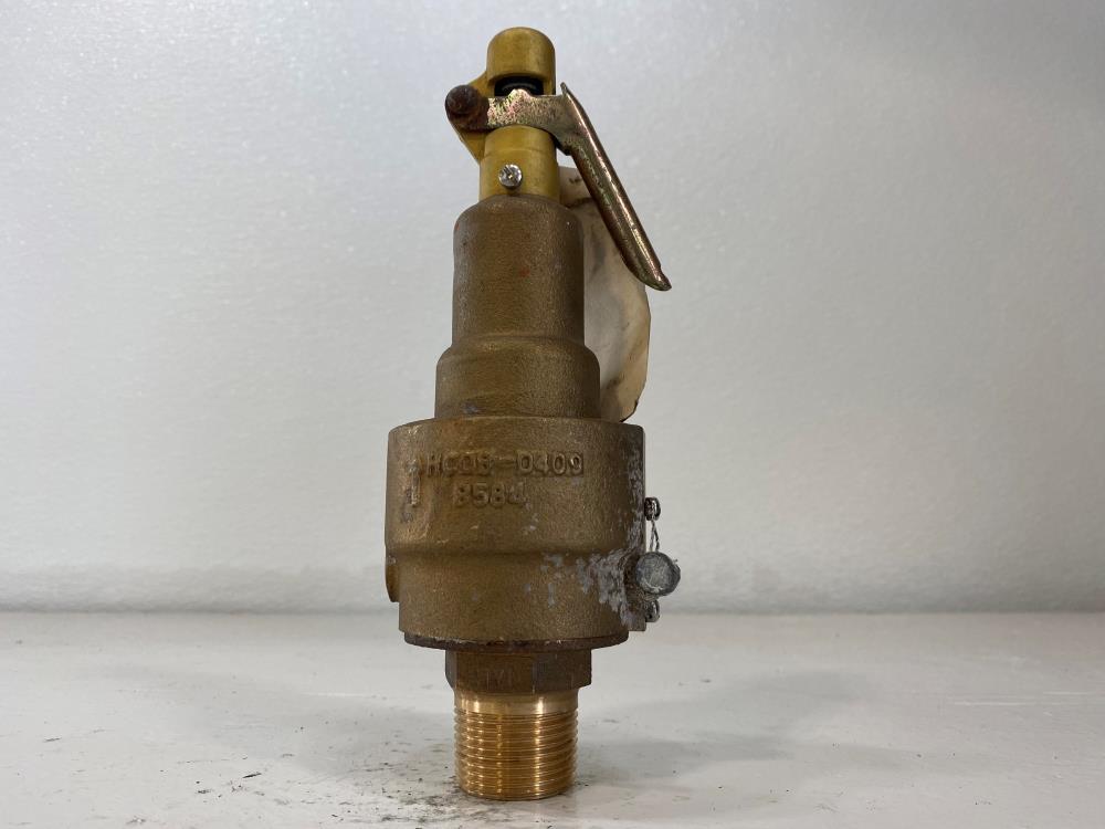 Kunkle 1"NPT 100# Bronze Relief Valve 6186FE01-KM